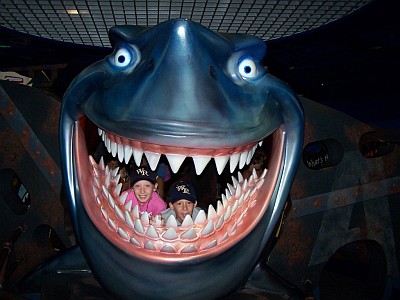 Walt Disney World, Florida florida walt disney world pictures. Walt Disney World, Florida